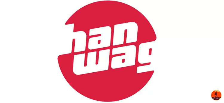 Hanwagchile España Shop